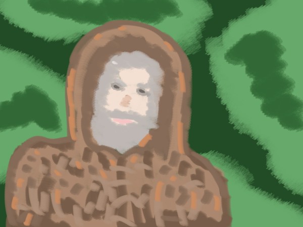 Beaver Pelts by W Scott